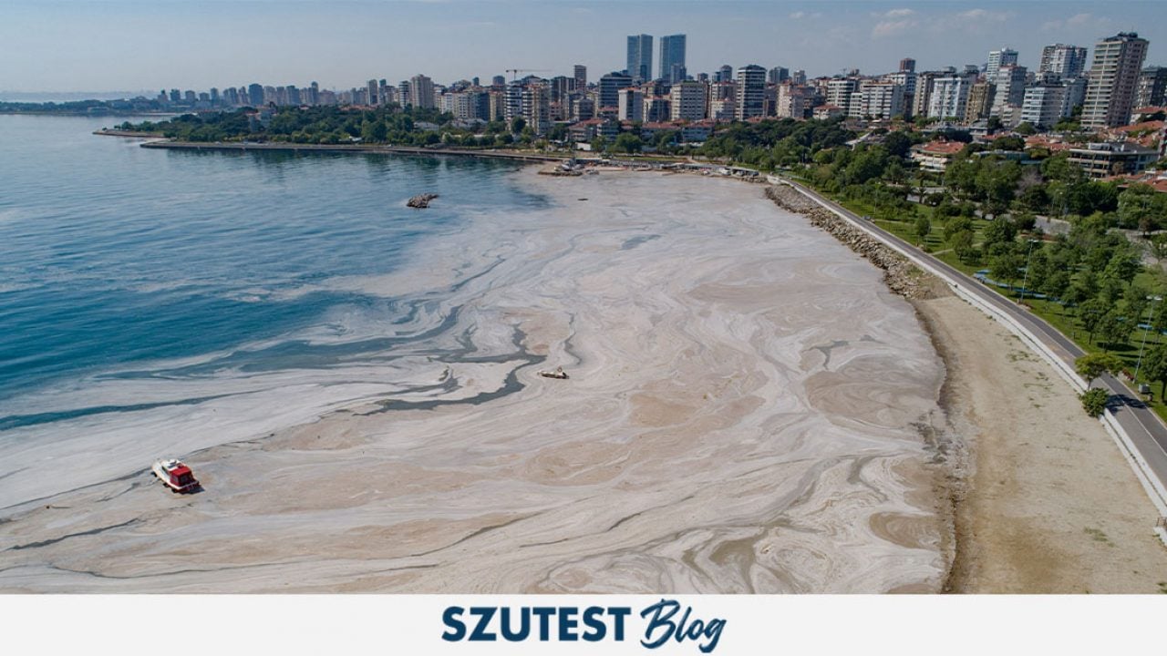 Deniz Kirliliği Gözetimleri